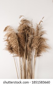 Reeds foliage branches bouquet on white background. Flat lay, top view floral design.