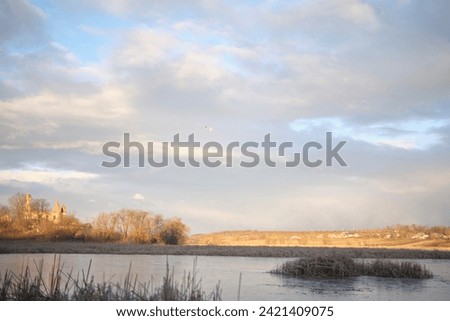 Reeds on a frozen lake with an old ruined building and two swans in the sky in the background