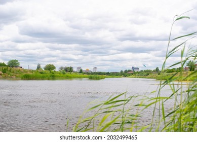 Reeds On The Ishim River In Kazakhstan