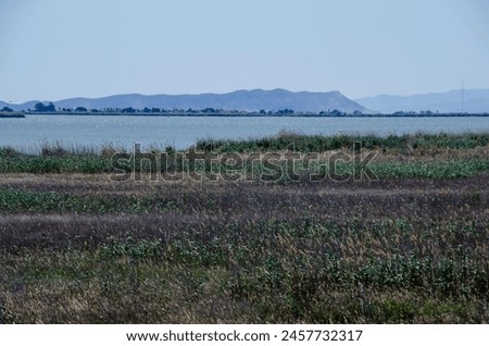 Similar – in Südafrika Naturreservat Teichsee und Busch