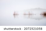 Reeds waving in the wind on a misty morning at Lake Littoinen, Kaarina, Finland.