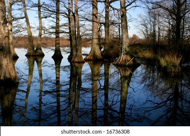 Reelfoot Lake