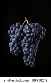 Reference, double bunch of dark grapes isolated on black background