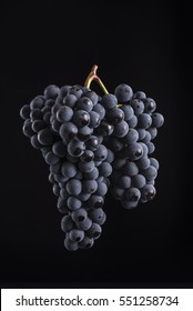 Reference, ideal double bunch of dark grapes with black background