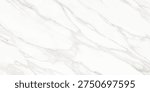 A refined white marble surface featuring soft flowing veins in grey and subtle golden tones. The natural stone pattern creates an elegant and luxurious aesthetic, often associated with premium interiors, architectural surfaces, tiles, counter tops, and sophisticated design backgrounds.