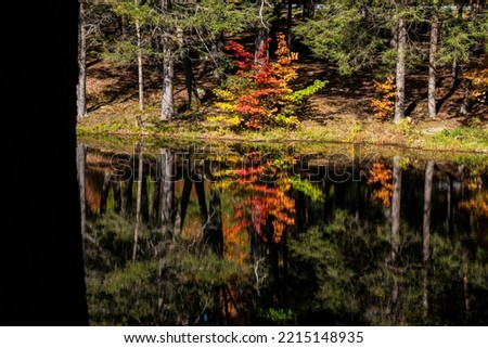 reflctions of the fall foliage on peear hill lake