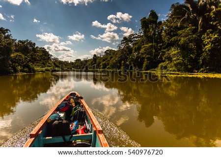 Reflected jungle in the Limoncocha lagoon in the Ecuadorian Amazon