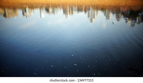 The reflection