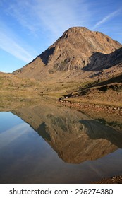 Reflection