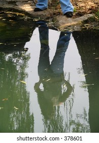 Reflection
