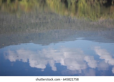 Reflection