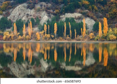 Reflection
