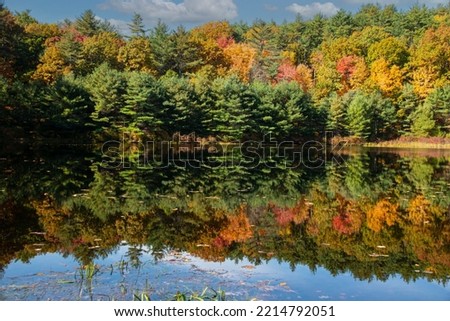 reflection of autumn on pearl brook pond  in pearl, hill state forest  in townsend