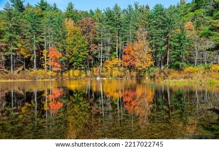 reflection of autumn on pearl brook pond  in pearl, hill state forest  in townsend