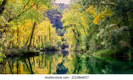 reflection of autumn in the river