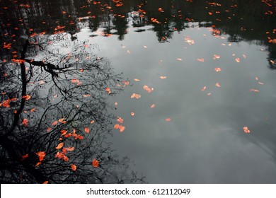 Reflection Background