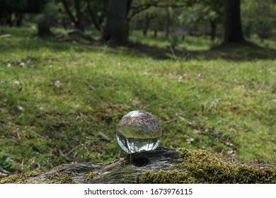 A reflection ball in the forest