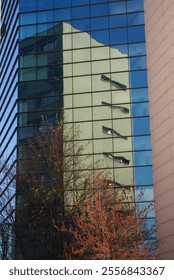 A reflection of a building with multiple windows, taken from below through a glass surface.