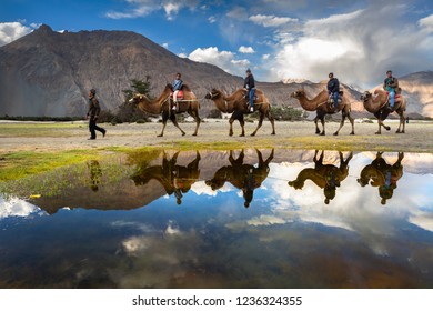 Reflection of the camel riders