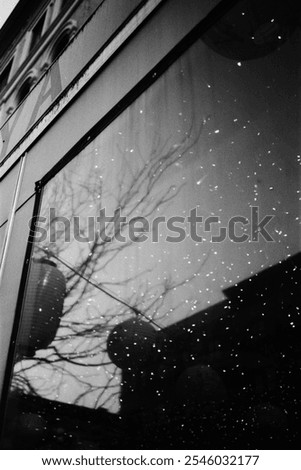 Reflection of Christmas lights on window in black and white