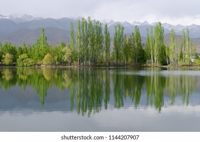 Reflection in clear water