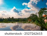 reflection of cloud and rice field in Bali, Ubud