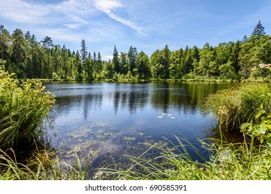 reflection of clouds in the lake with forest  and trees in background and horizon line
