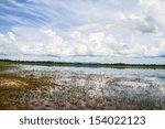 Reflection of the clouds in swamps.