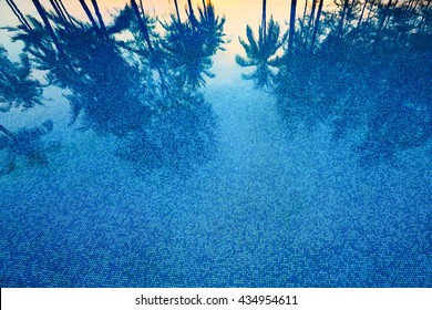 Reflection Of Coconut Trees And Sugar Palm Tree In Deep Blue Color Swimming Pool