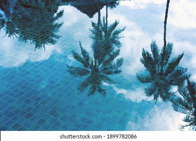 背景にココナツの木と青緑色の水泳プールの反射