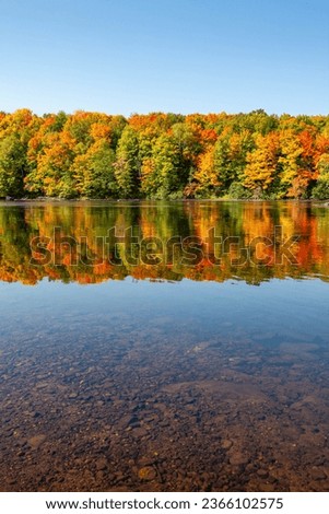 Reflection of a colorful forest in the Wisconsin River,vertical
