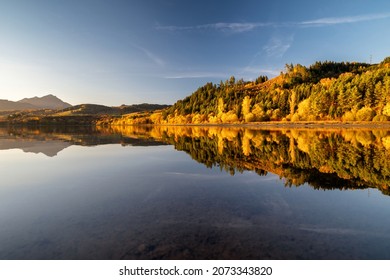 Reflection of colorful yellow autumn trees on water level of lake Liptovska Mara at Slovakia - Shutterstock ID 2073343820