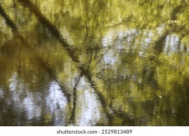 Reflection of delicate foliage of leaning trees in the river. The sun is reflected in the water against the background of foliage and blue sky. Abstraction, design, large texture, tenderness, freshnes - Powered by Shutterstock