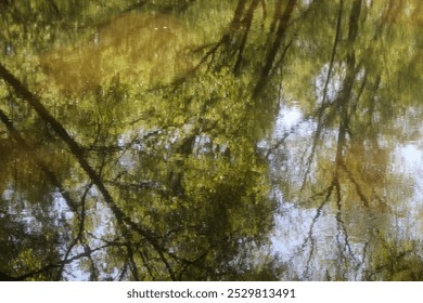 Reflection of delicate foliage of leaning trees in the river. The sun is reflected in the water against the background of foliage and blue sky. Abstraction, design, large texture, tenderness, freshnes - Powered by Shutterstock