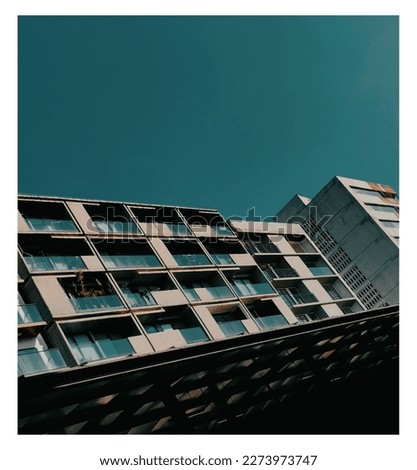 Similar – Image, Stock Photo bare little trees on a roof terrace