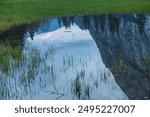 Reflection of El Captain in a spring lake. Mirror Lake full after snow melt in spring, El Capitan reflections. Beautiful view in Yosemite Valley. El Capitan from Cooks Meadow. Sierra Nevada mountain