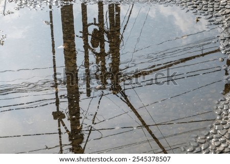 Similar – Foto Bild Frühling in der Pfütze