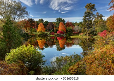 Reflection Of Fall Foliage At Asticou Azalea Garden Near Bar Harbor Maine.