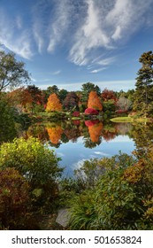 Reflection Of Fall Foliage At Asticou Azalea Garden Near Bar Harbor Maine.