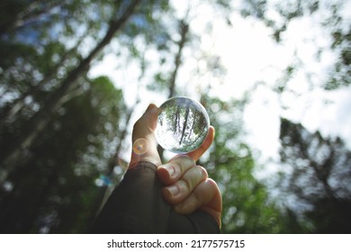 The Reflection Of A Forest In A Glass Lens Ball. 