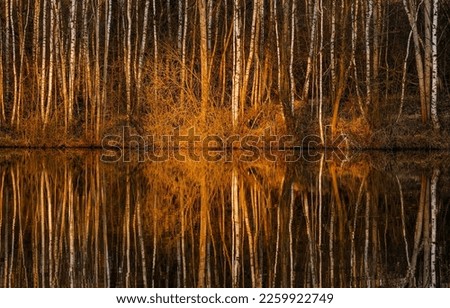 Reflection of forest trees in the water of an autumn lake. Autumn reflections in water. Forest trees reflection in water. Reflection in water