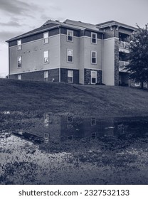 Reflection in a grassy puddle