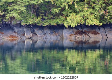 Reflection Great Bear Rainforest Canada