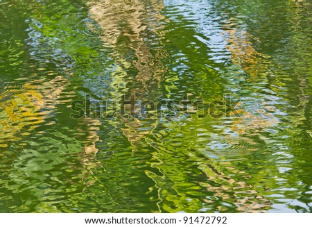 Reflection of green forest in water