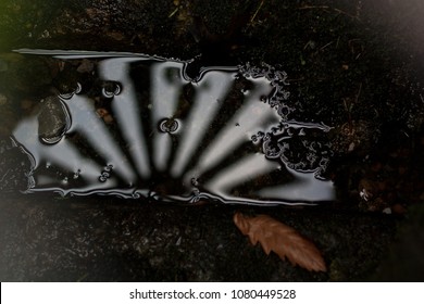 Reflection of a hatch in water and a leaf