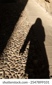 reflection of a human silhouette on the road.