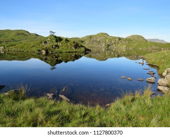 Reflection in the Lake