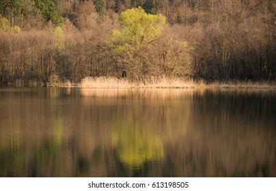 Reflection in the lake