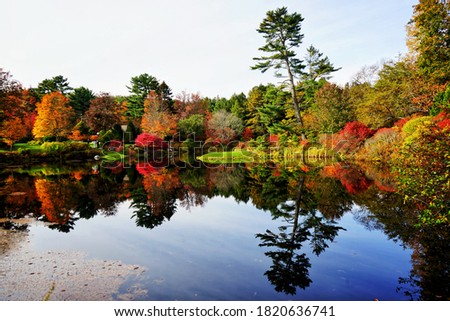 The reflection in a lake                        