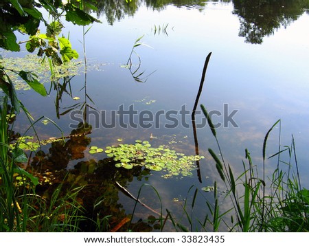 reflection in the lake